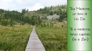 Tea Medicine, un libro di Wu De. T&egrave; e medicina, terzo capitolo. (t&egrave; e Zen) - Bognanco