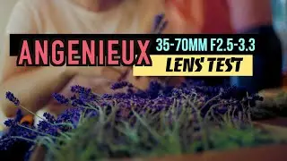 Angenieux 35-70mm f2.5-3.3 Macro Zoom test