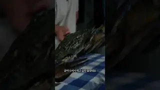 ???: Please eat Italian blue crab!