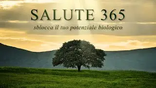 Salute 365