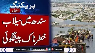 Major Prediction About Flood In Sindh | Latest Update | Samaa TV
