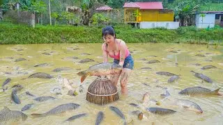 A Hen Incubates Eggs Hatches Chicks -- Catching Lots Of Fish Go To Country Market Sell
