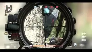 Virtue: Advanced Warfare Teamtage #1