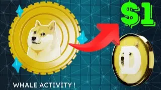 🚀 DOGECOIN&rsquo;S SECRET WEAPON FOR $1! WHAT&rsquo;S FUELING THIS EPIC DOGE SURGE?