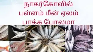  மீன் ஏலம் 🐟