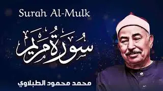من أجمل ما يُتلى من آيات تهدي النفس وتريح القلب