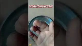 Machis box trick #matchbox #trick #crafts #youtubeshorts #shortsviral #shortvideo