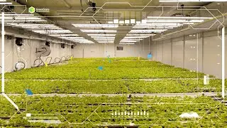 GreenState GSIRA AI Algorithm