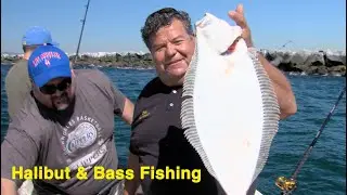 Halibut and Bass Fishing in Long Beach