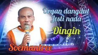 DINGIN // SUMANTRI // ORGAN DANGDUT JESTI NADA LIVE DADAP BLOK PULOBI JUNTINYUAT INDRAMAYU 