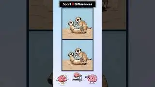 #235 Spot the Difference - Cute Meerkats Playing Together | Brain Fitness Puzzle Game