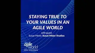 #138: Staying True to Your Values in an Agile World with Susan Meier, Susan Meier Studios