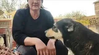 Очень интересный фильм, про то,как я кормлю наших собачек