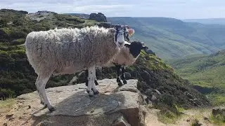 Ringing Roger - Kinder Low - Jacobs Ladder - 15K Loop #mountains #nature #peakdistrictnationalpark