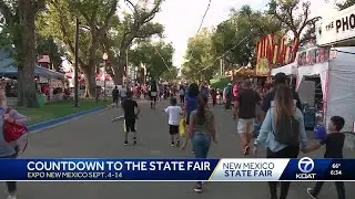 New Mexico State Fair