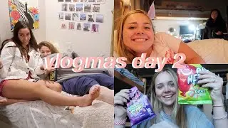 VLOGMAS DAY 2 -insane bird accident *she broke her foot* lol