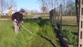 GOLBLADE 