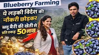 एक लड़की ब्लूबेरी से कमा रही है लाखों रुपये 💰 | Blueberry Farming Success Story 🇮🇳