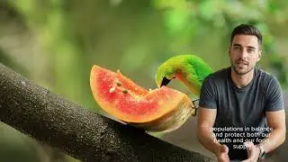 The role of birds and small mammals in maintaining ecological functions