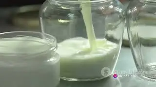 METHODS OF PRESERVING MILK. AGRICULTURE GRADE 8.