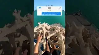 IL PAPÀ È ORGOGLIOSO DI SUO FIGLIO 🥹