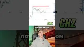 CHZ invest  #трейдинг