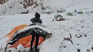 The Best Himalayan Gold harvesting Yarchagumba During the Snowfall Relaxing lifestyle documentary 