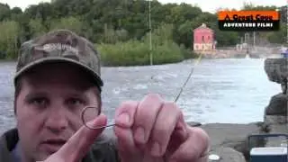 Circle hooks vs standard hooks for catfish
