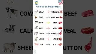Animals and Their Meat in English | Cow = Beef, Pig = Pork