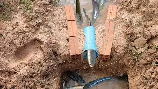 Creative Girl Make Deep Hole Fish Trap Using Brick And PVC To Catch A Lot of Fish