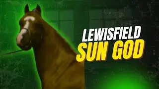 Lewisfield Sun God (Aaraf x Aarafa) at Lewisfield Arabians, presented by Crabbet.com #horse #arabian