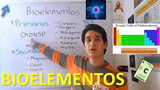 Bioelementos primarios y secundarios. EN 3 MINUTOS!!!