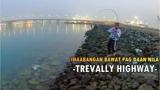 Regular talaga ang pagdaan nila sa spot nato (Pagdaan nang isda at...) | Trevally Season All Year