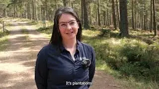 Megan Parker, Senior Forest Planner, Interview