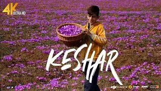Real vs Fake Kashmiri Saffron | Buying Kashmiri Kesar? Here&rsquo;s How to Check If It&rsquo;s Authentic
