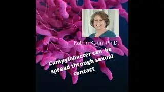 Campylobacter can also be spread through sexual contact: OU study