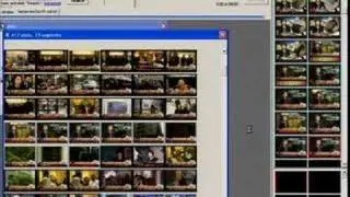 Effective Approaches to Video Search and Classification