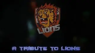 HoNtage | A Tribute to Lions Featuring Panny