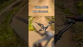 MTB Flow Trail🔥😮&zwj;💨 #mtb #flow #trails ##mountainbike #bikelife #bike