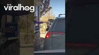 One Bite Pup Cup: Don't Mind if I Do || ViralHog