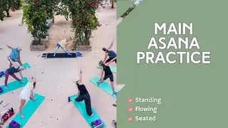 Feel-Good Flow: Main Yoga Poses to Lift Energy & Spirit