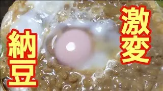 いつもの納豆に飽きたら、作ってみてください😊白いご飯にも合いますよ。良ければお試し下さいませ(^^)