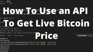 Как использовать API в Python для получения цены биткоина в режиме реального времени, а также дру...