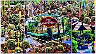 Cactus Garden & Rock Garden Dehradun | Malsi Deer Park | Dehradun Zoo | Tourist Place of Dehradun