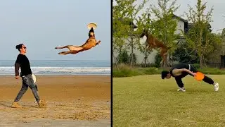 These Dogs Are The Ultimate Ninja Dogs
