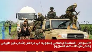 #السودان |استسلام جماعي جننجويد في كردفان بشكل غير طبيعي يفاجئ قيادات دعم السرييع