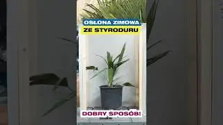 Jaki poliwęglan wybrać do osłony zimowej?