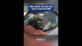 Part 2 simple traffic stop turns into chaos#officer#police #youtubeshorts#shorts#bodycam#shortvideo
