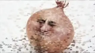 Onion Head STC (Explicit)
