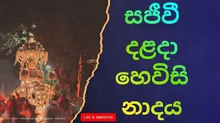 හෙවිසි නාදය: සිත් සන්සුන් කරන පූජනීය නාදය Kandy Hewisi Performance &ndash; Dalada Maligawa Highlight